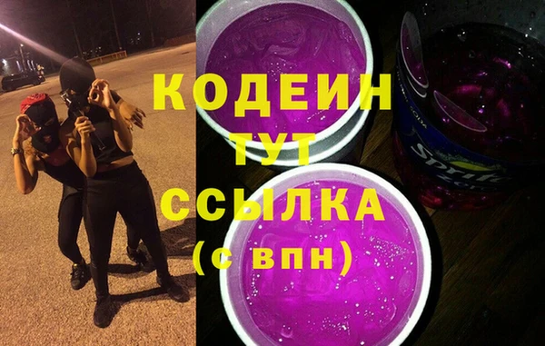 индика Нягань