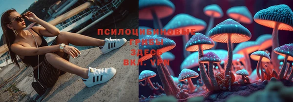 винт Армянск